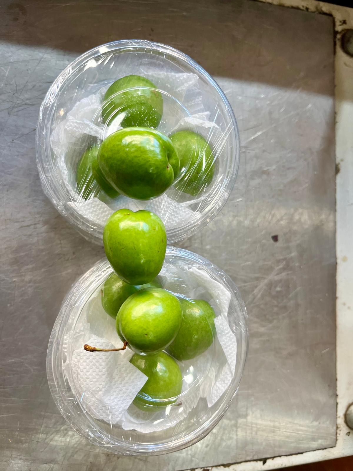 7D13D497 Fb85 4649 8799 2B51Cd9Fda32