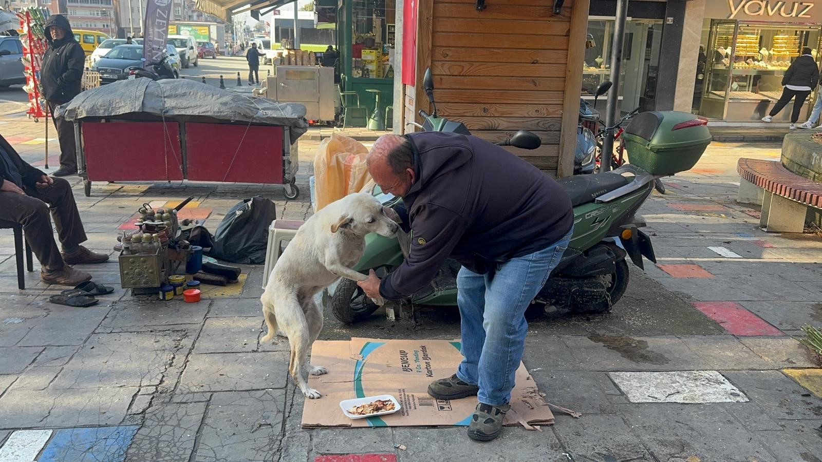 Engelli Boyacının Engelli Dostu... Hüseyin Amcanın 10 Yıllık Dostu Pamuk Imza Gazetesi (1)