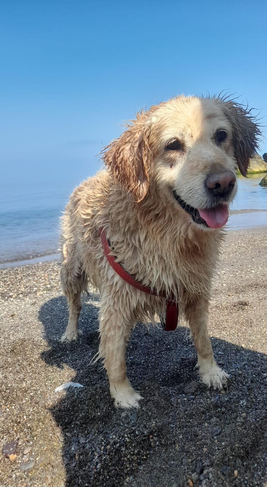 Ereğli'de Çuvala Koyuldu Uçurumdan Atıldı! 12 Yaşındaki Kanser Hastası Maya Öldürüldü Mü İmza Gazetesi̇ (2)