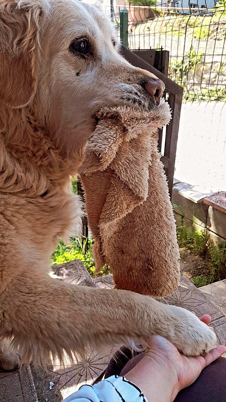 Ereğli'de Çuvala Koyuldu Uçurumdan Atıldı! 12 Yaşındaki Kanser Hastası Maya Öldürüldü Mü İmza Gazetesi̇ (3)