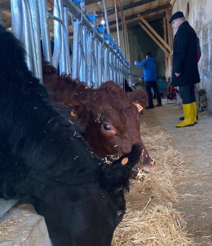 I M G 20251230 W A0038