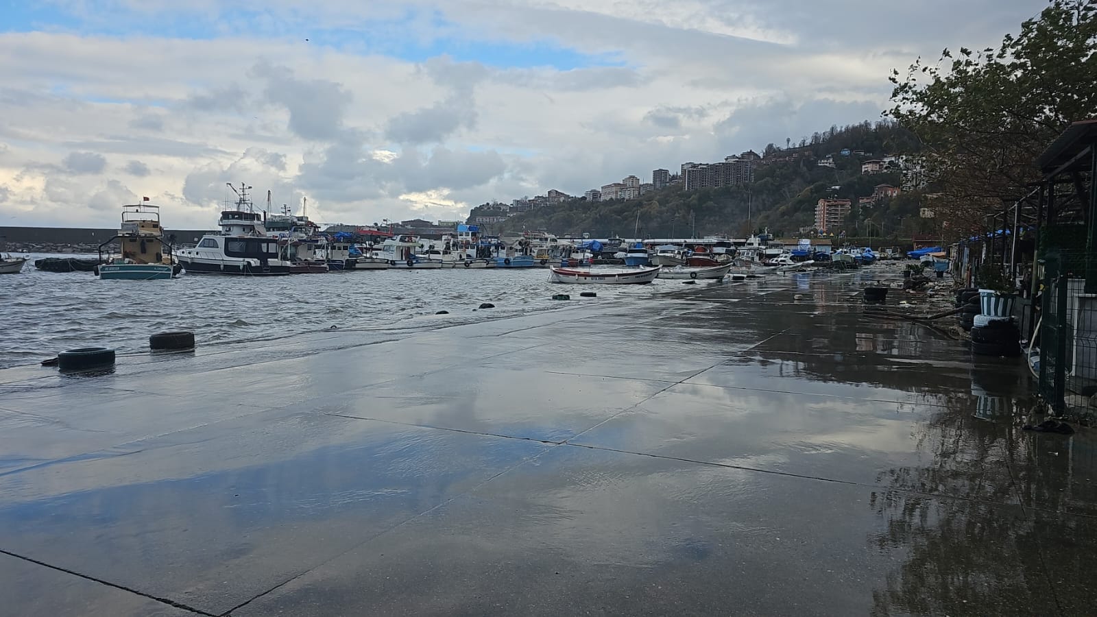 Kozlu Limanı Fırtına Sonrası Çöplerle Doldu! İmza Gazetesi̇ (37)