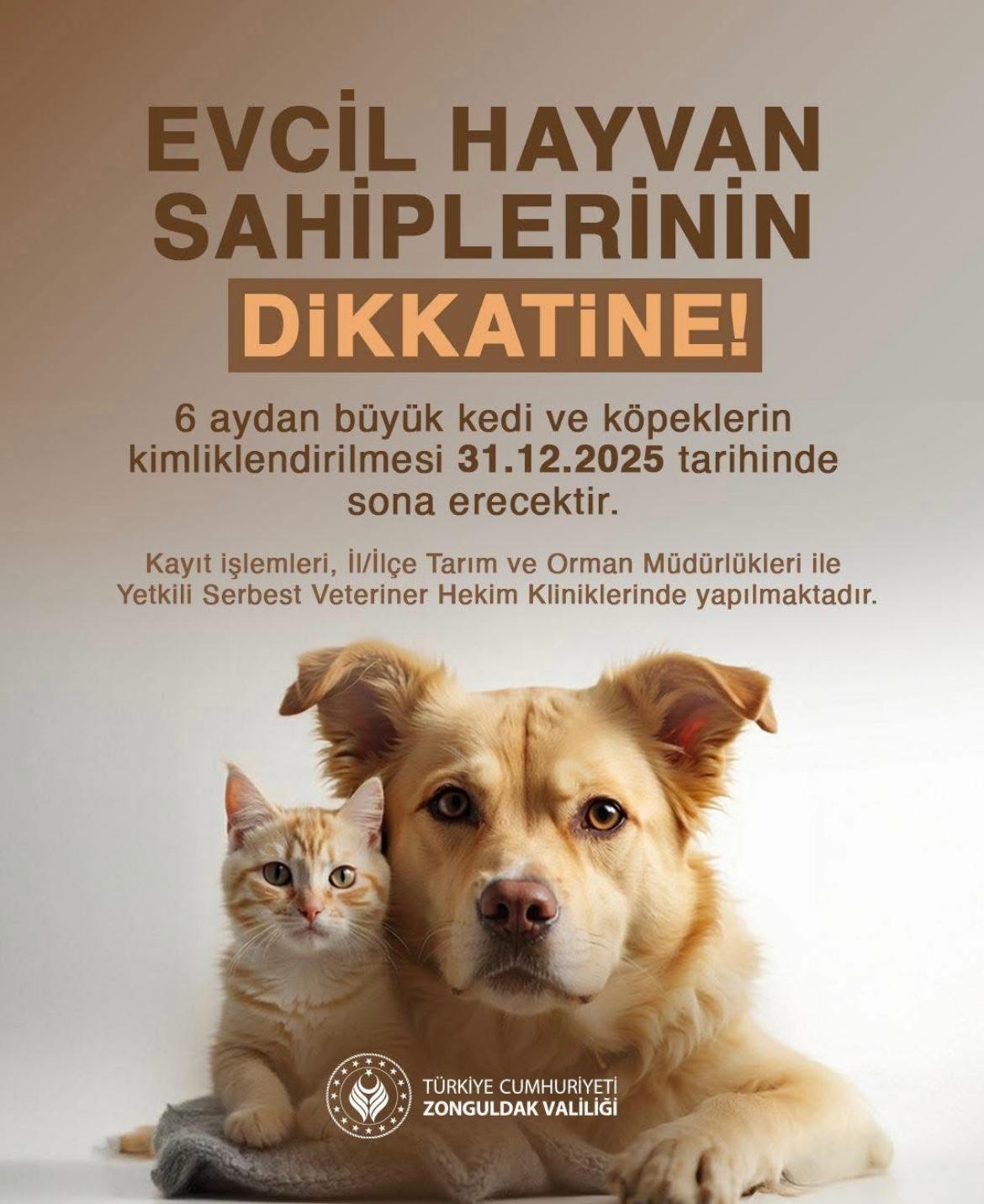Valilikten Evcil Hayvan Sahiplerine Duyuru! İmza Gazetesi̇ (36)-1