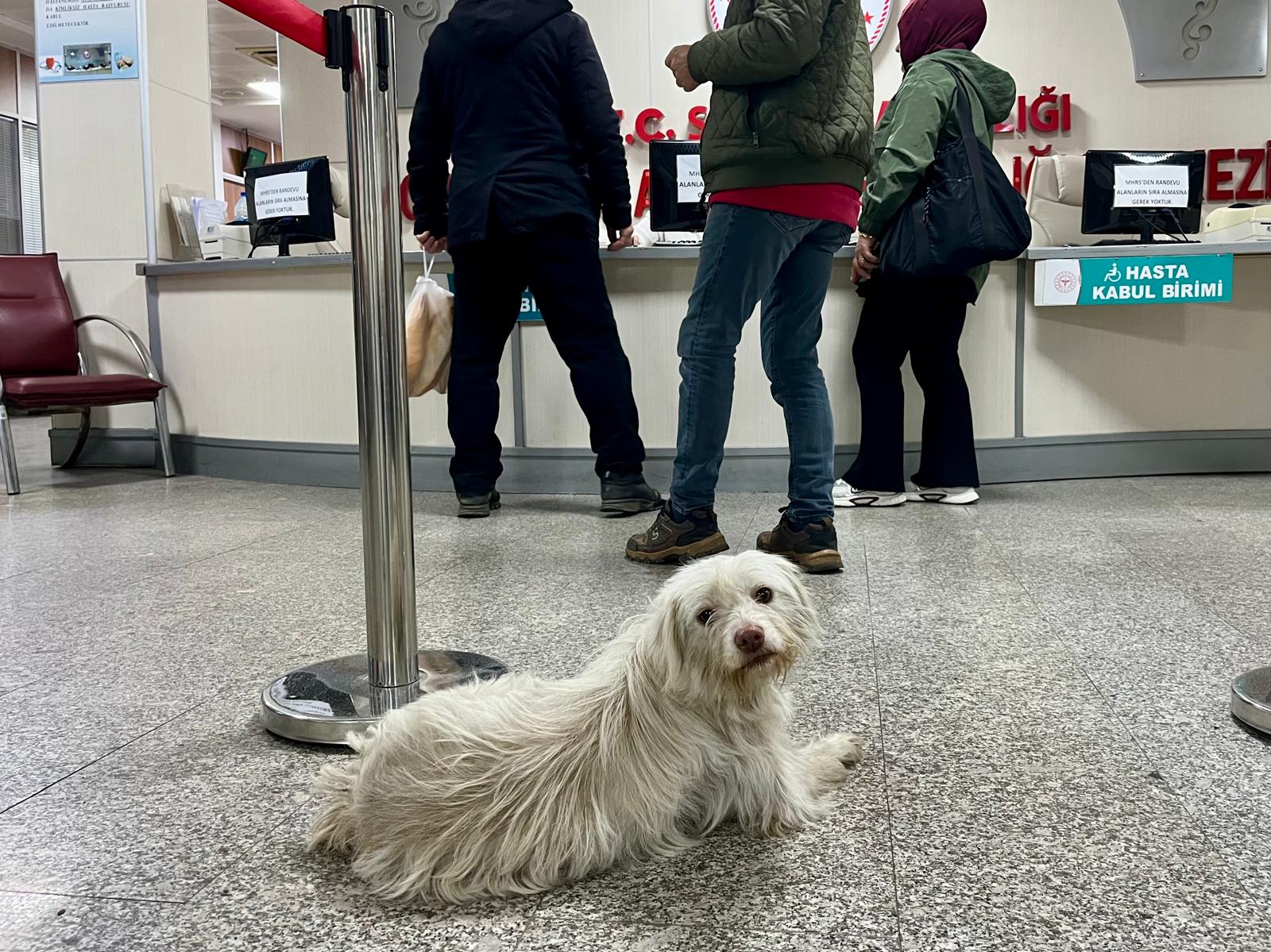 Whatsapp Image 2025 12 05 At 15.01.03