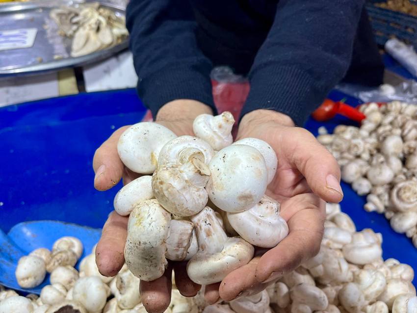 Whatsapp Image 2025 12 07 At 11.24.34 (1)