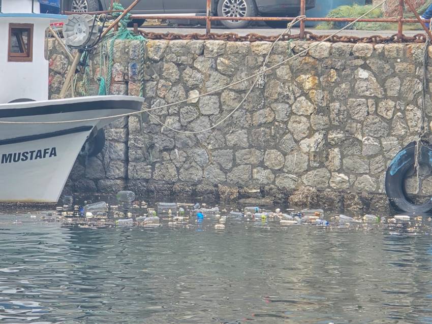 Whatsapp Image 2025 12 08 At 13.54.58