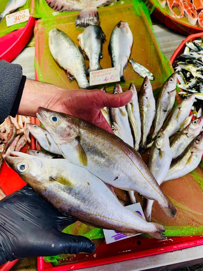 Whatsapp Image 2025 12 09 At 11.31.13 (1)-1