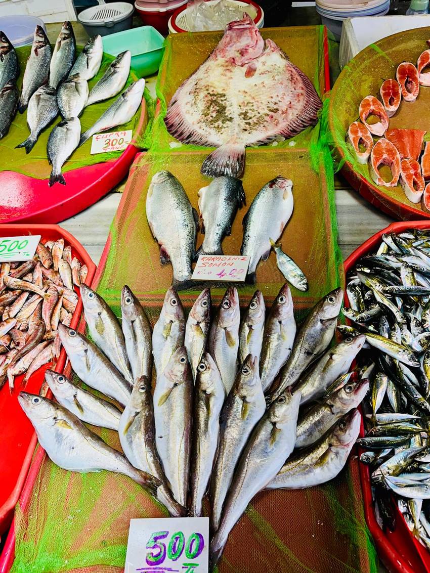 Whatsapp Image 2025 12 09 At 11.31.13 (2)