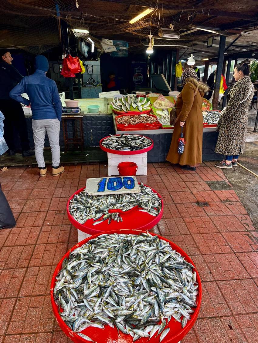 Whatsapp Image 2025 12 09 At 11.31.14