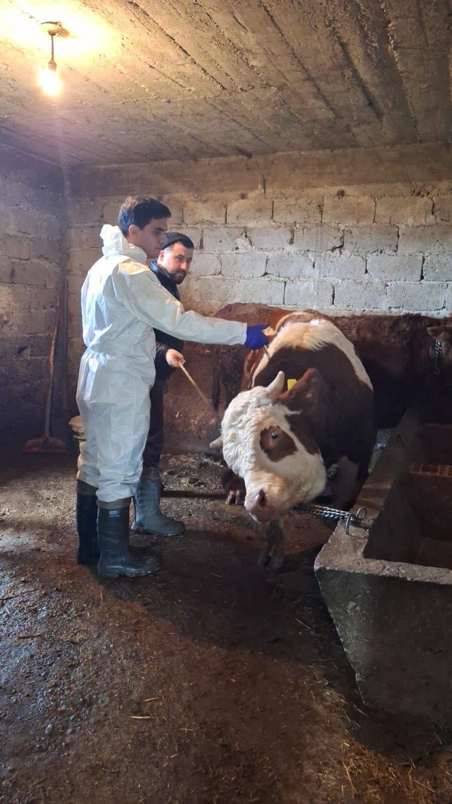 Whatsapp Image 2025 12 16 At 19.05.27 (1)-1