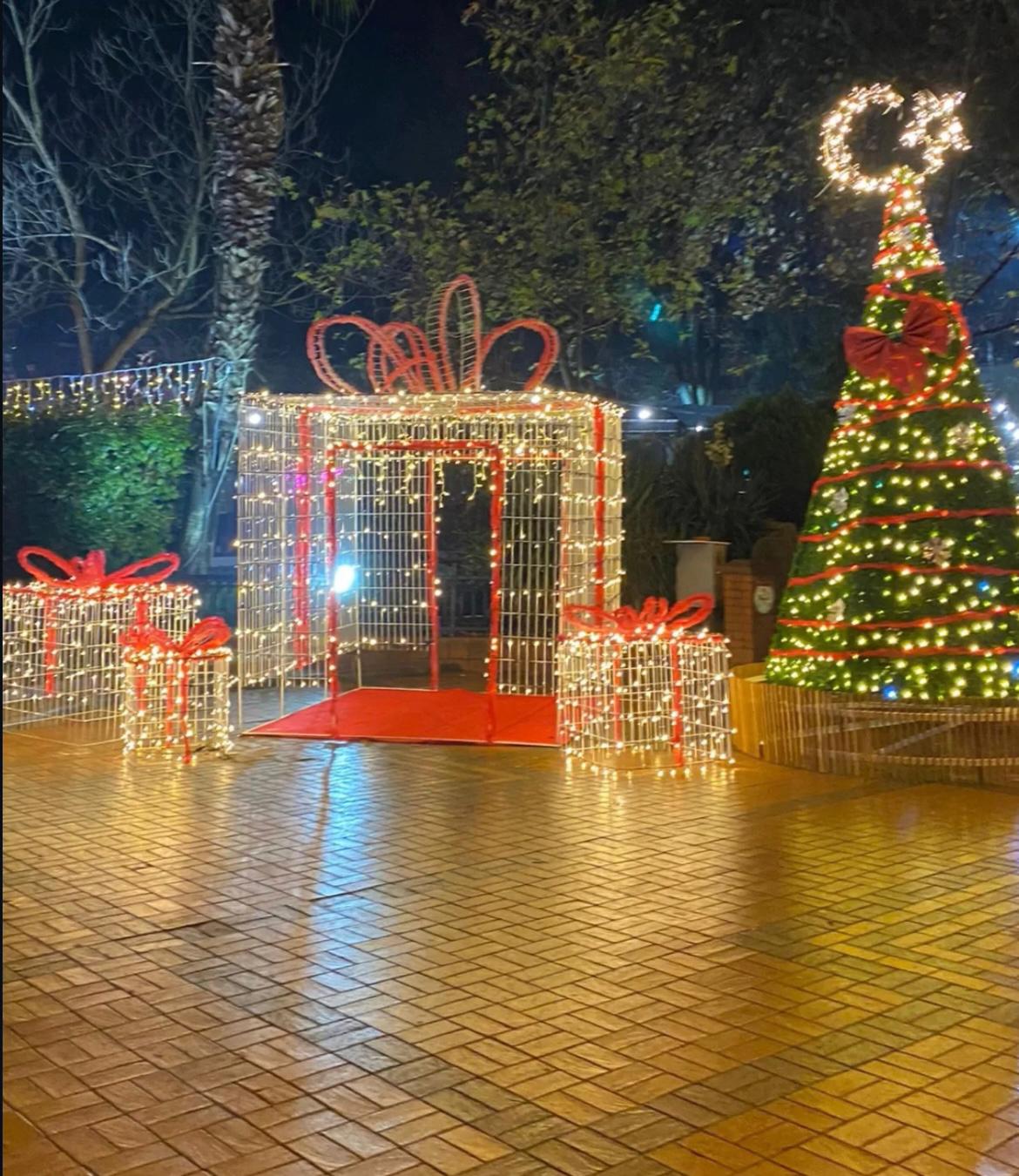 Whatsapp Image 2025 12 23 At 12.49.20