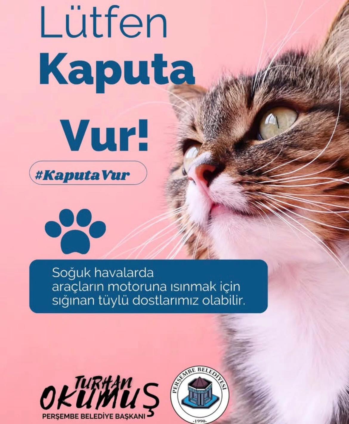 Whatsapp Image 2025 12 26 At 13.50.51 (1)