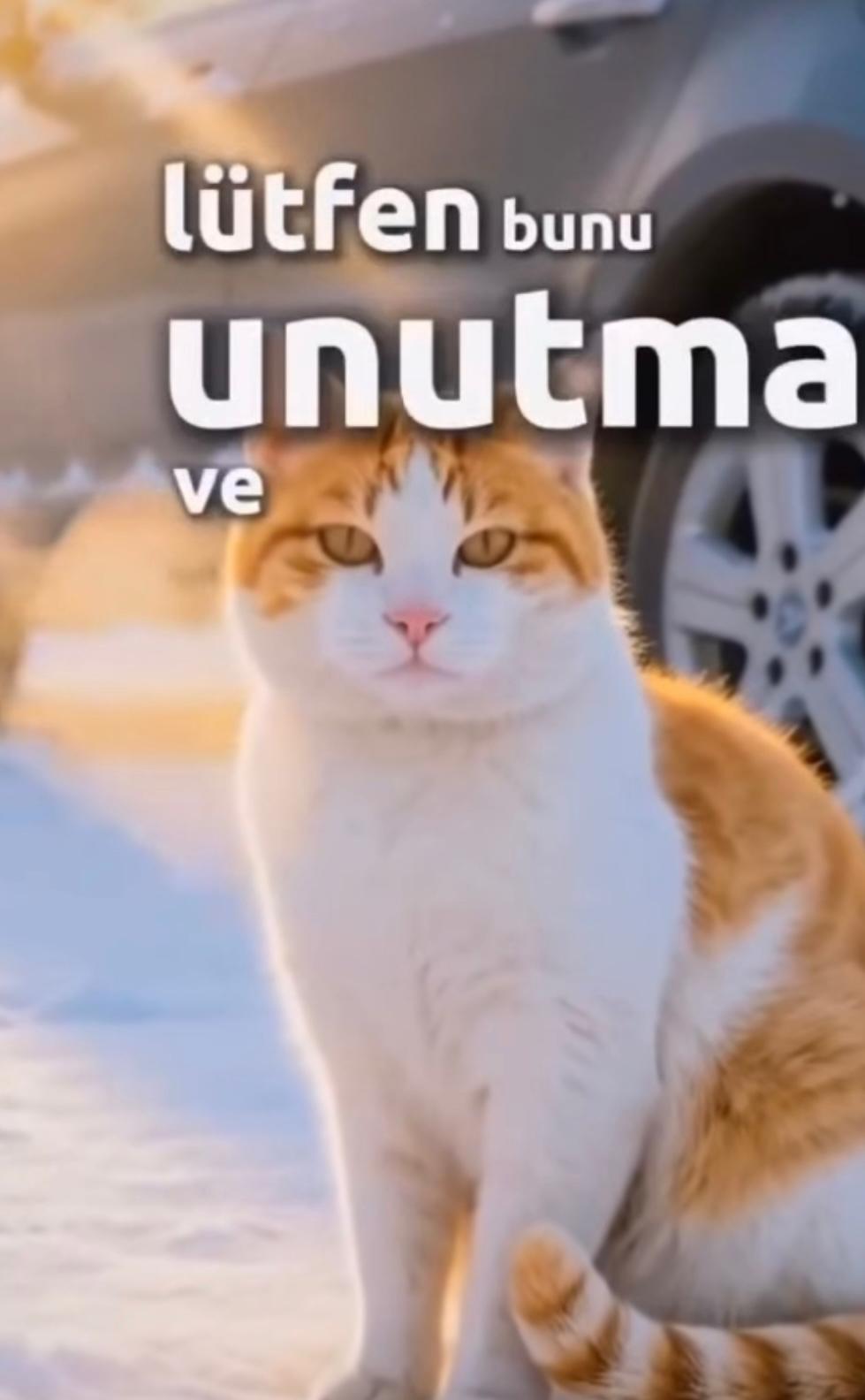 Whatsapp Image 2025 12 26 At 13.50.51