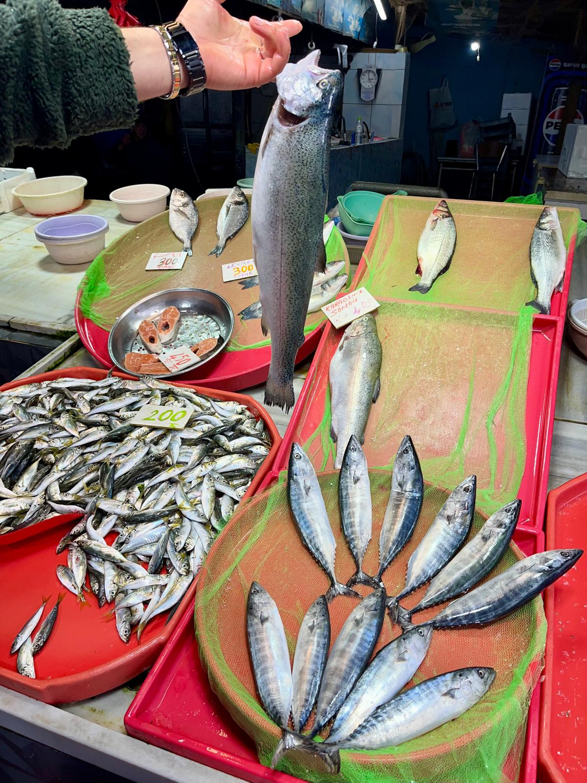 Whatsapp Image 2025 12 26 At 15.00.26 (2)