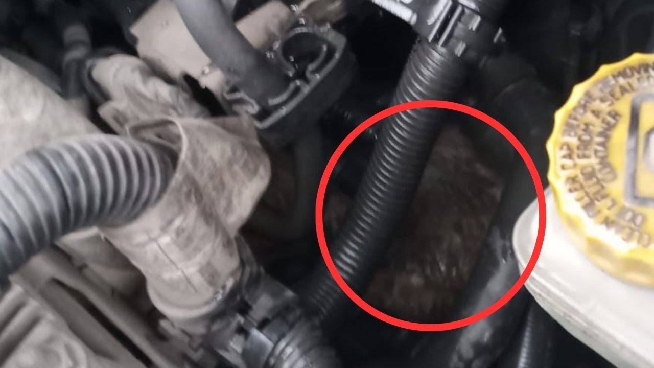 Zonguldak Haberleri-744