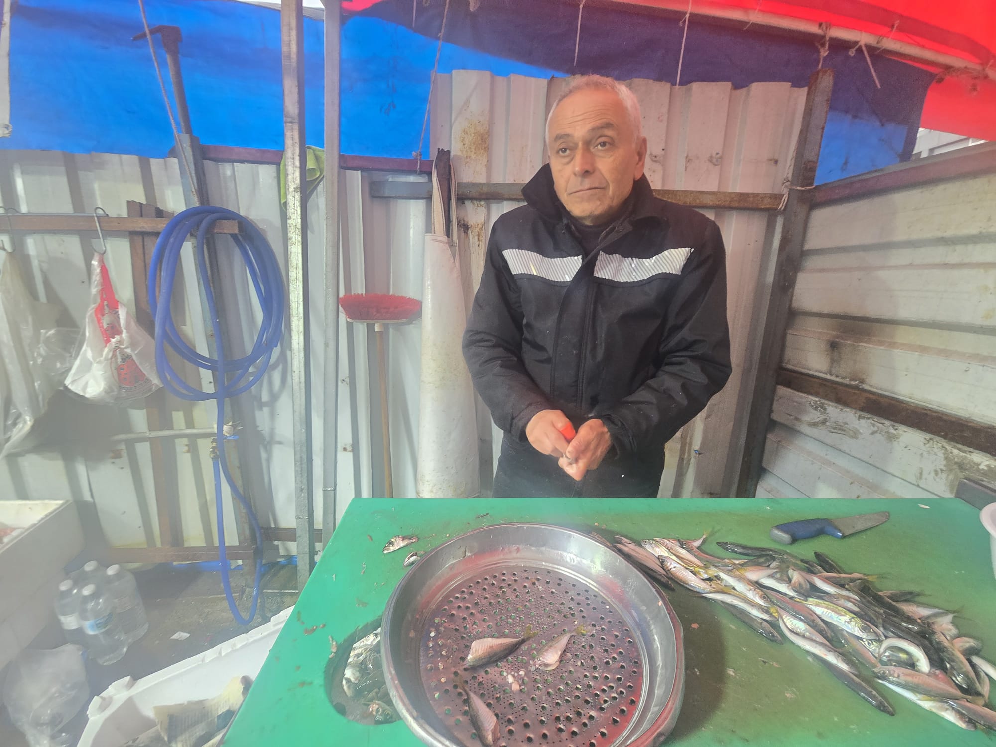 Zonguldak’ta Balıklar Ücretsiz Ayıklanıyor Imza Gazetesi