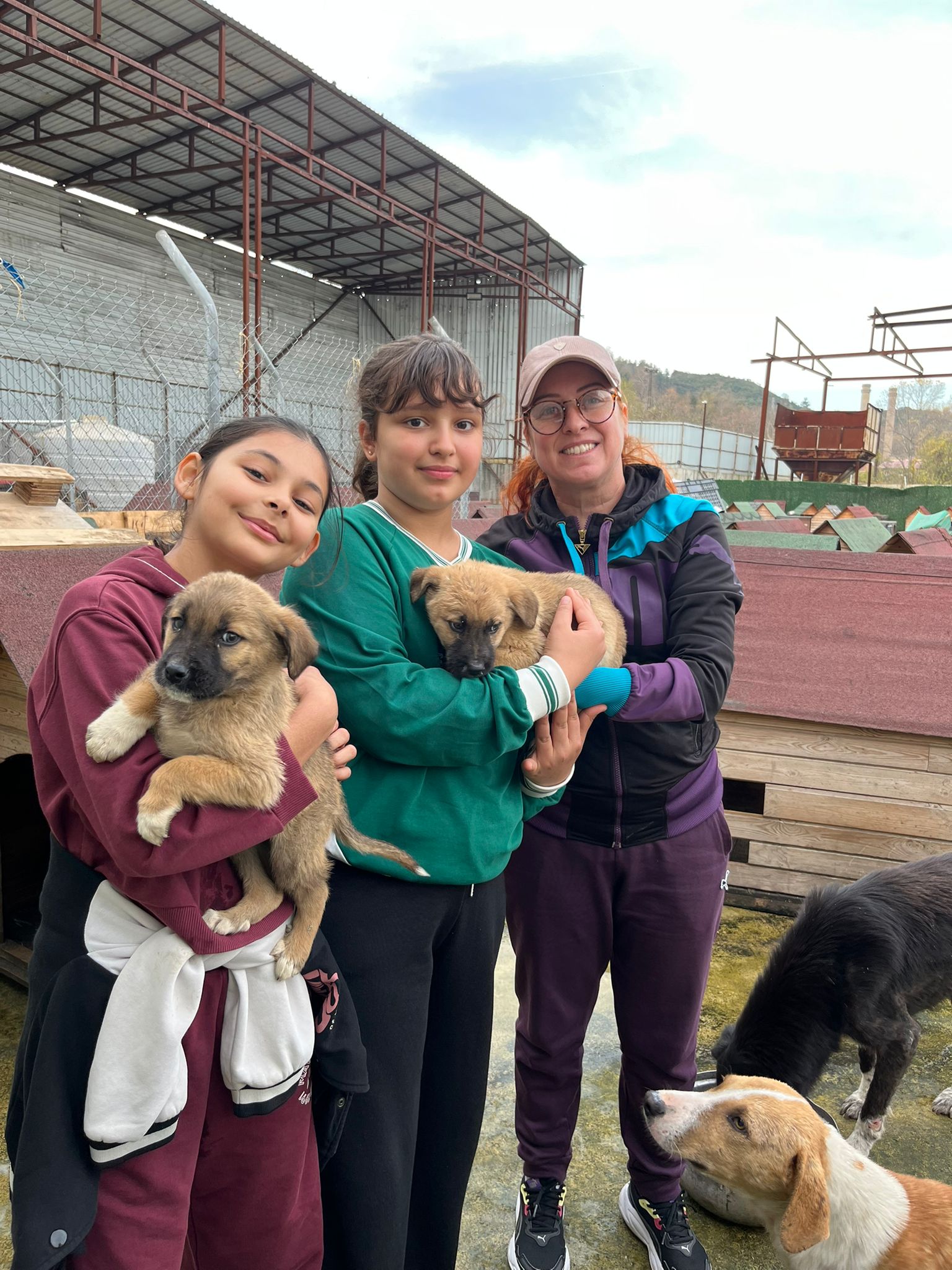Zonguldak'ta Sokak Hayvanlarına Anlamlı Destek! Çatalağzı Barınağına Mama Ve Serum Bağışı... İmza Gazetesi (5)-1