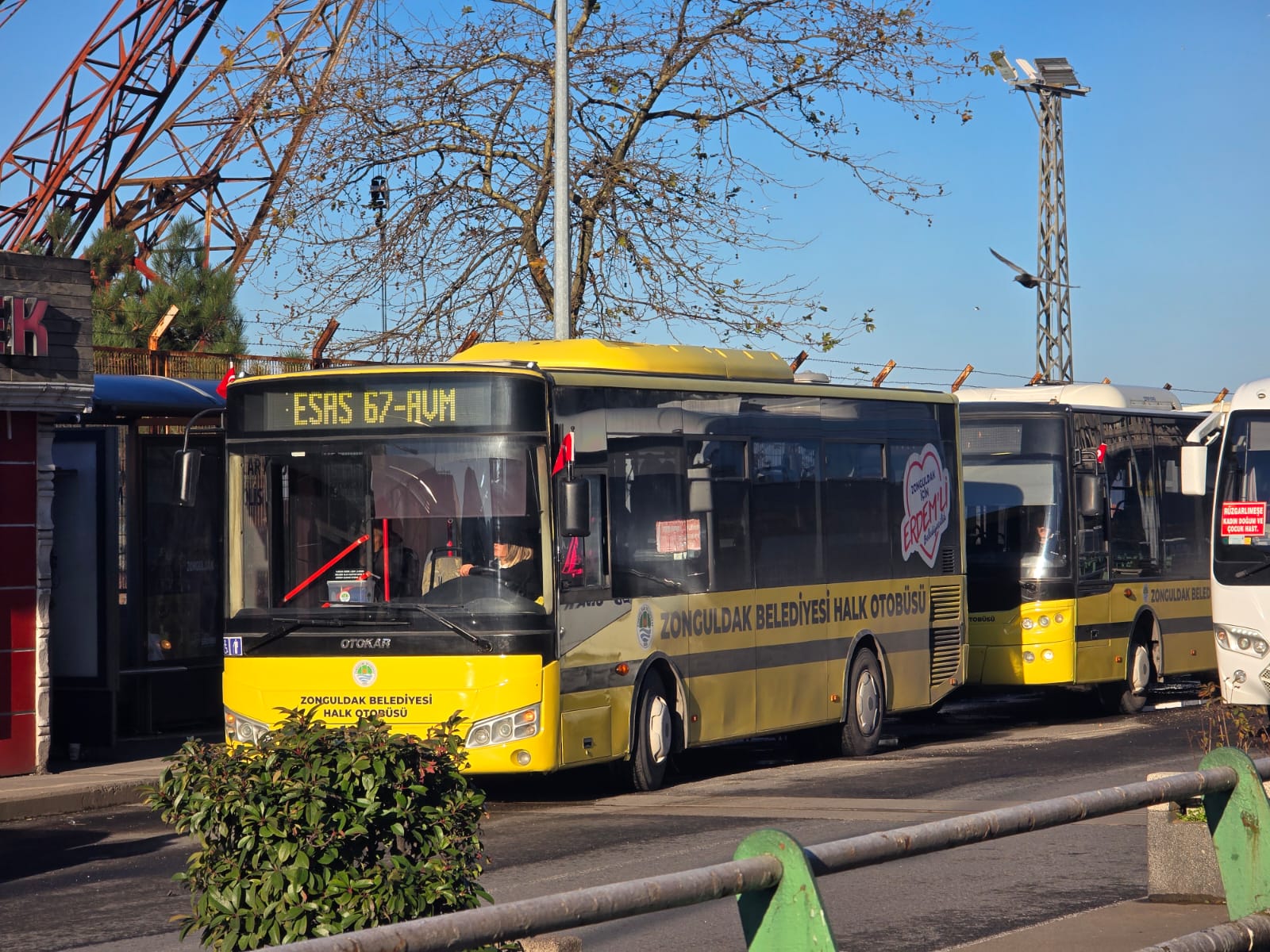 Zonguldak’ta Ulaşımda Yeni Dönem! Belediye Özel Halk Otobüsleri Seferde Imza Gazetesi (1)
