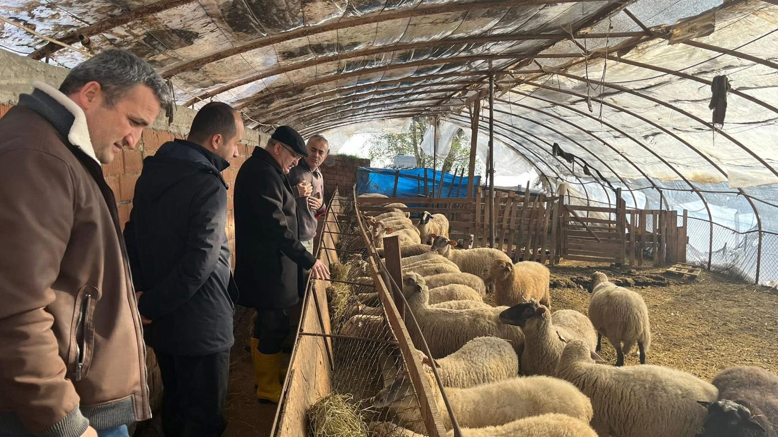 Zonguldak’taki O Müdür Kuzu…! Imza Gazetesi (1)