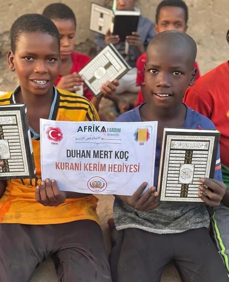 01E6B526 F283 4Fed 9Bd8 2E72Eb693117