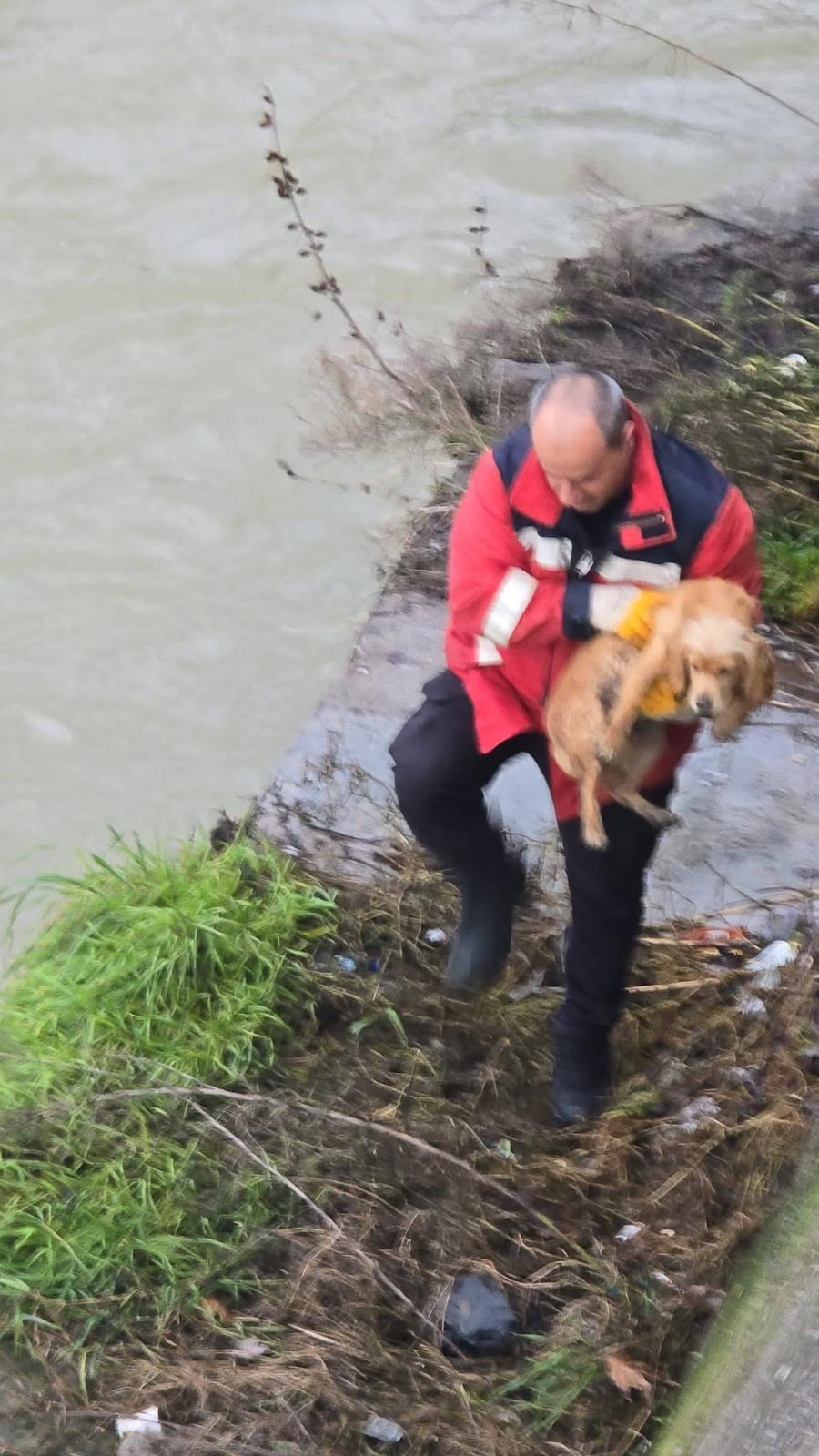 4E7358E1 B48E 426E 938C A0313F45B06B