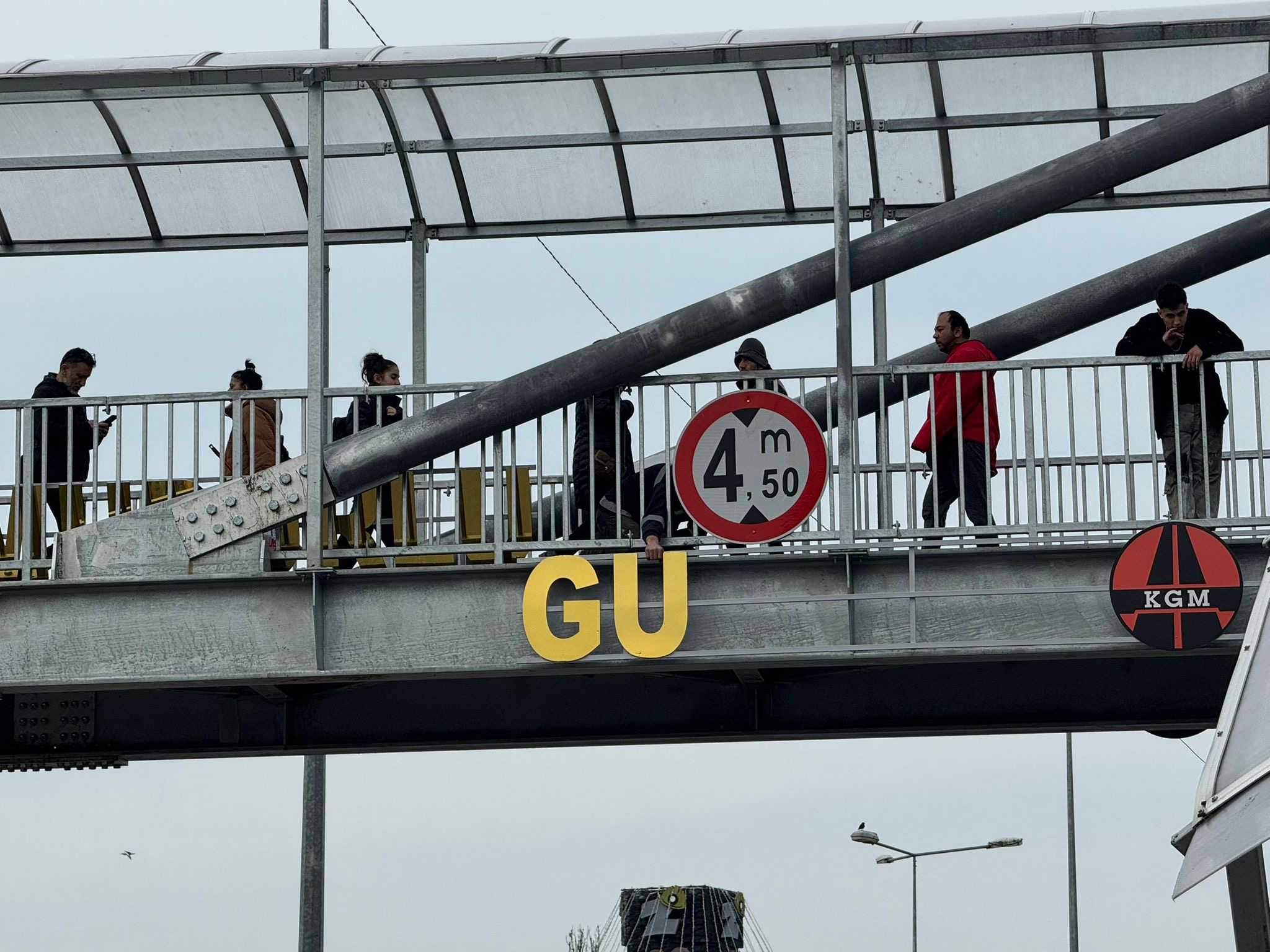 9980B719 8Adc 4A63 A0Fc 0479975Bccdc