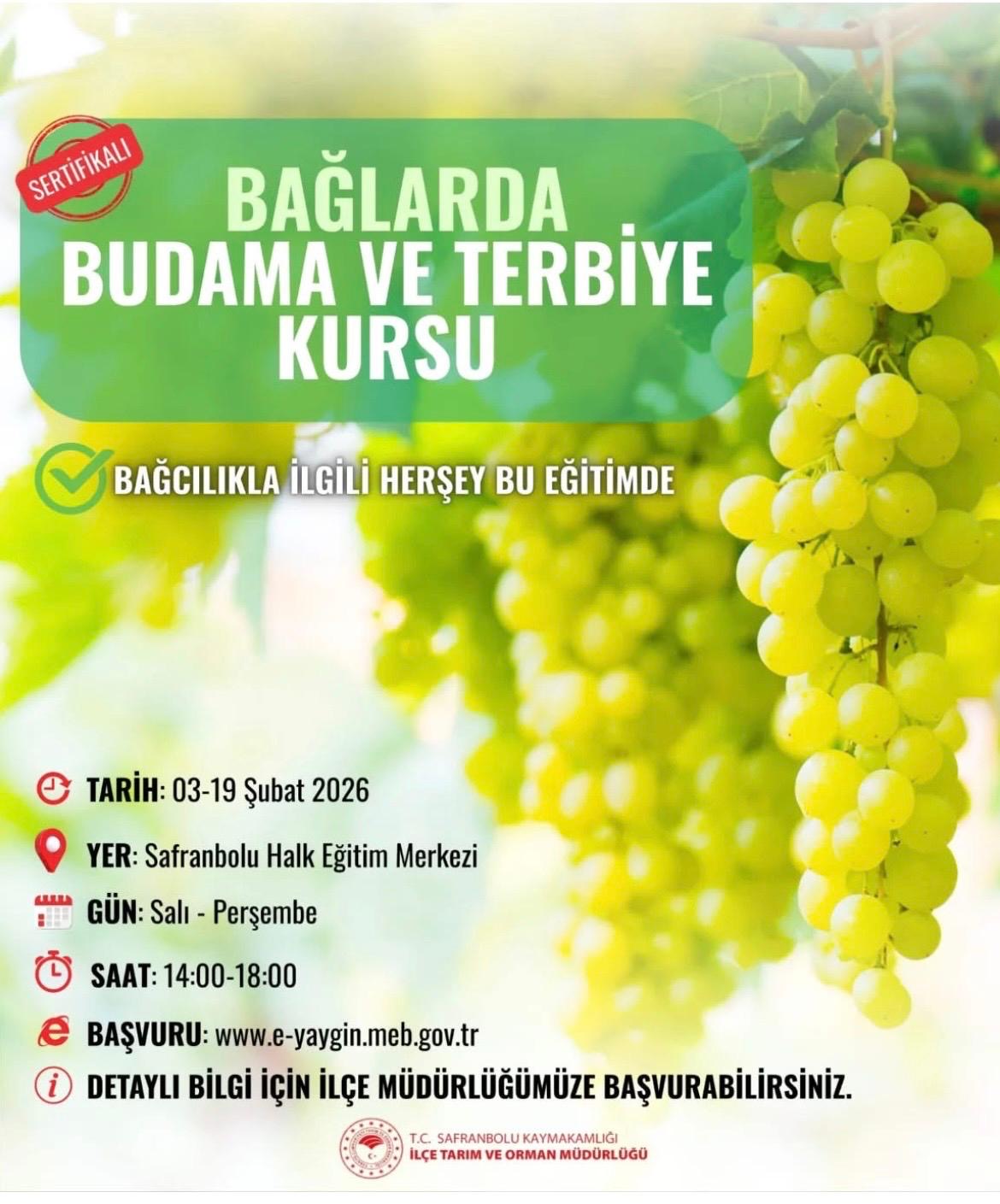 9Aafd59C 207E 4F19 822D A04Ac39Cec5D