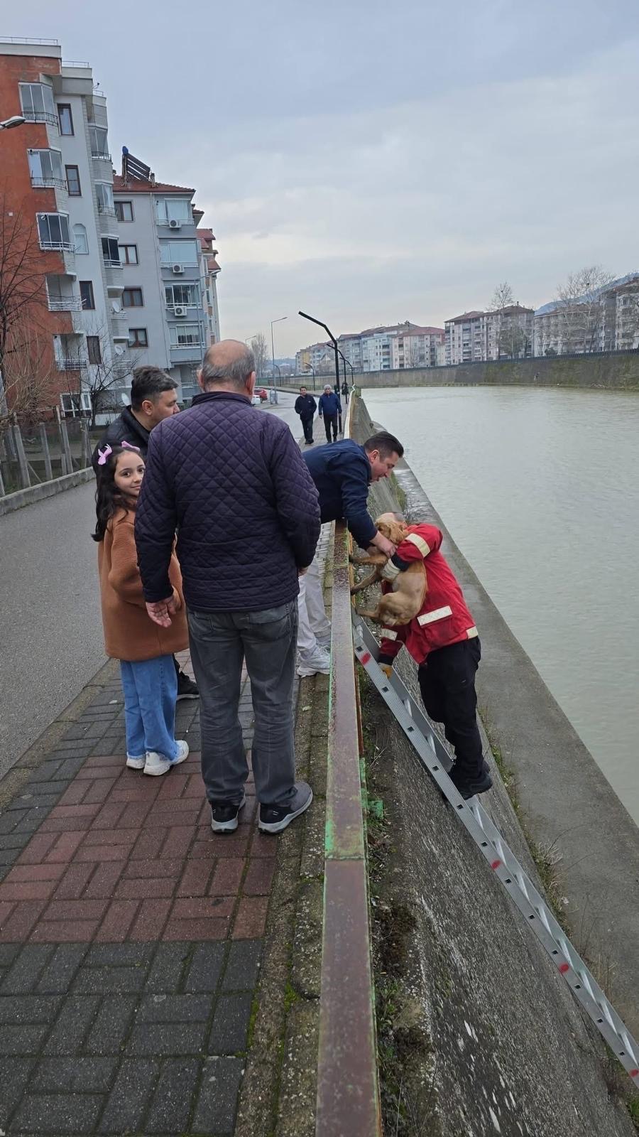 D4421670 92Ee 4E79 8E50 63D314E955Cf