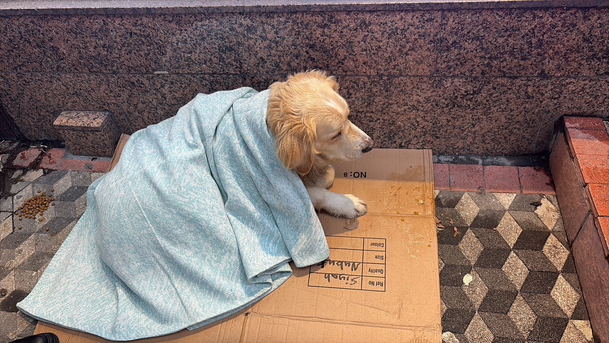 Ereğli'de İnsanlık Ölmemiş! Esnaftan Takdir Edilesi Hareket... Imza Gazetesi (1)