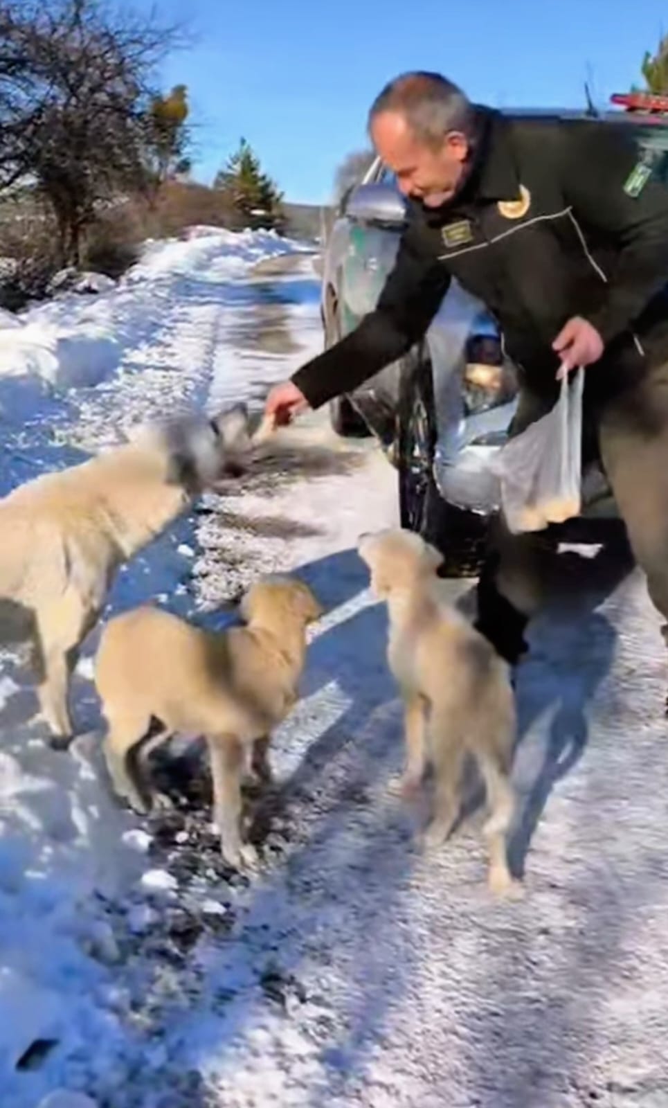 I M G 20260104 W A0011