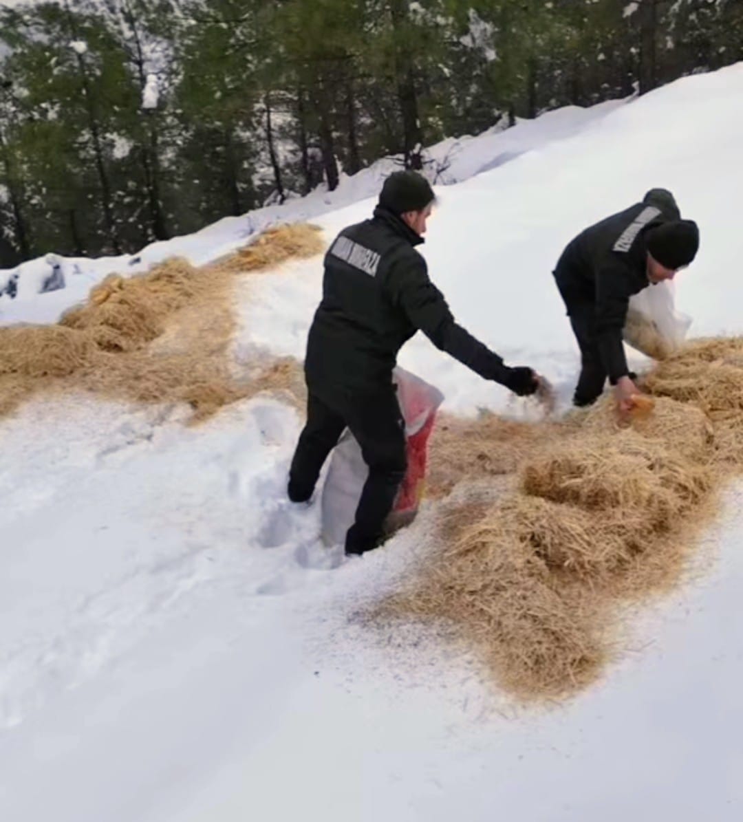 I M G 20260104 W A0013