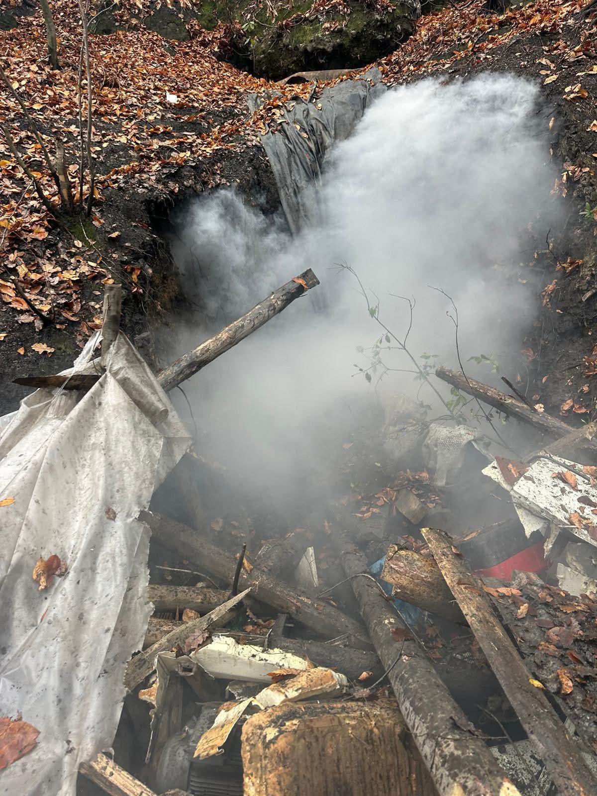 I M G 20260113 W A0004