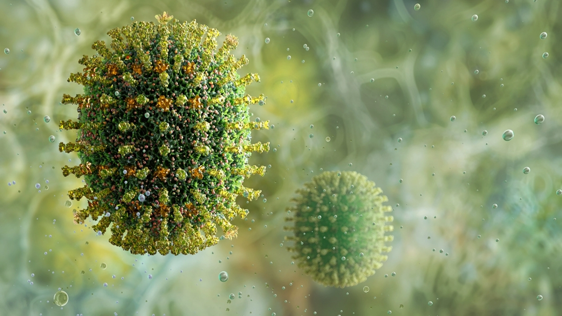 İnfluenza Virüsü Nedir