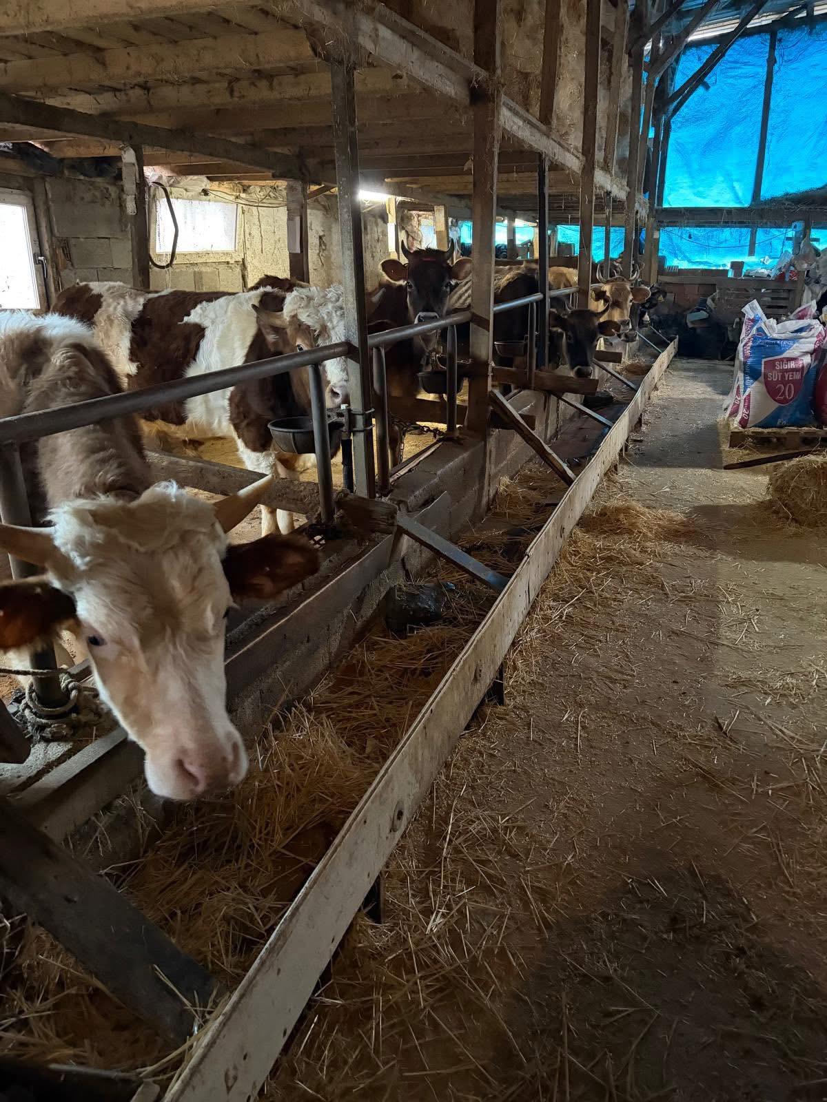 O Beldede Hastalıklar Kontrol Edildi! Imza Gazetesi (2)