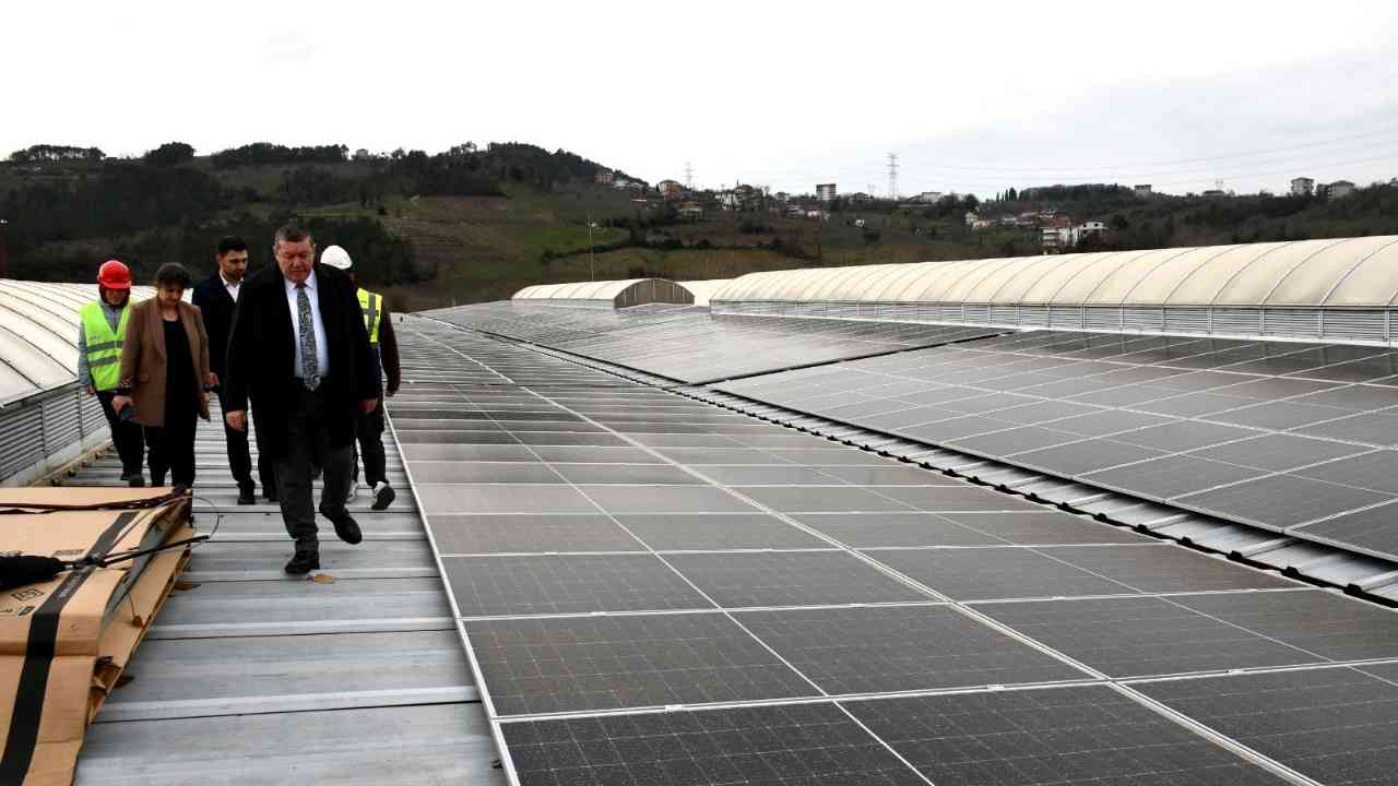 Türkiye Ilk Defa Zonguldak Alaplı Imza Gazetesi