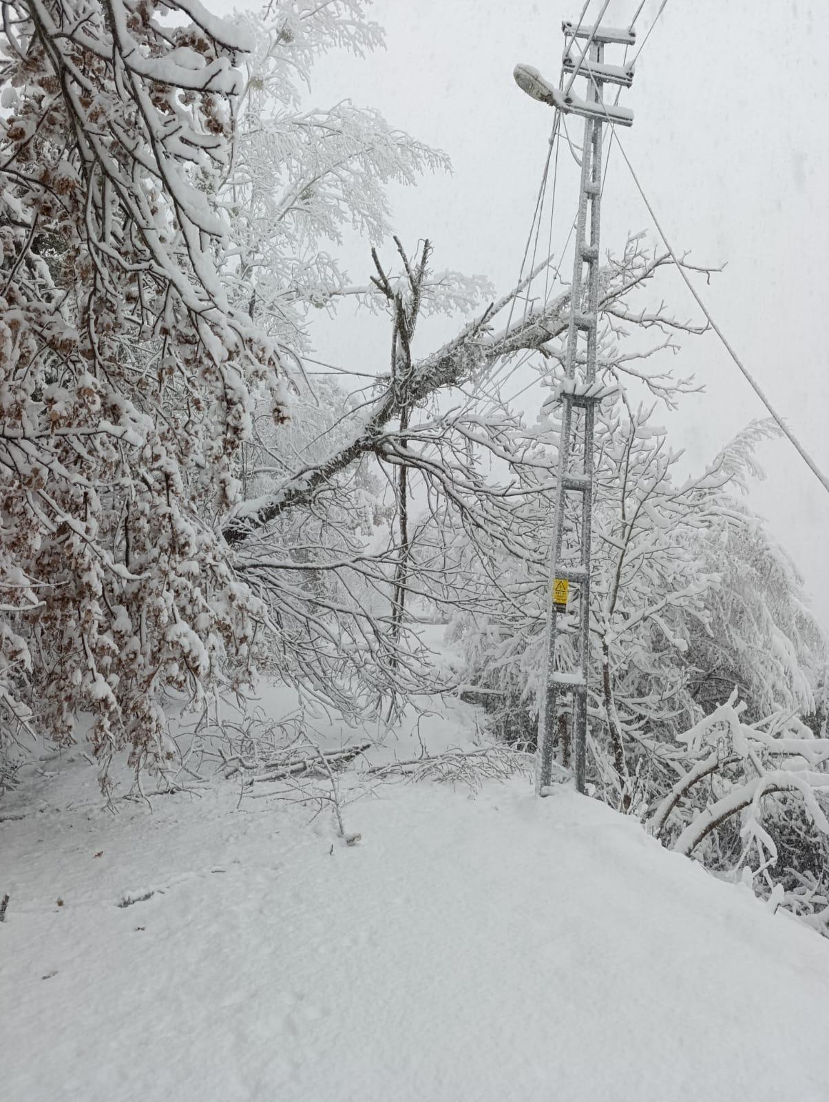 Whatsapp Image 2026 01 02 At 11.59.36 (1)