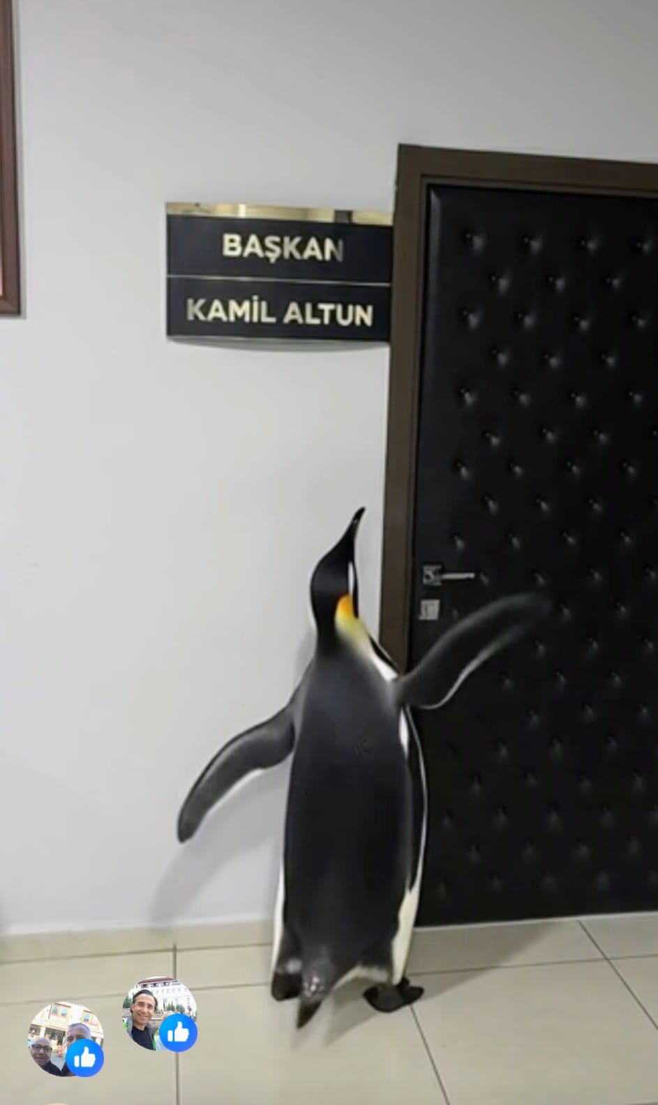 Whatsapp Image 2026 01 27 At 19.09.30 (2)