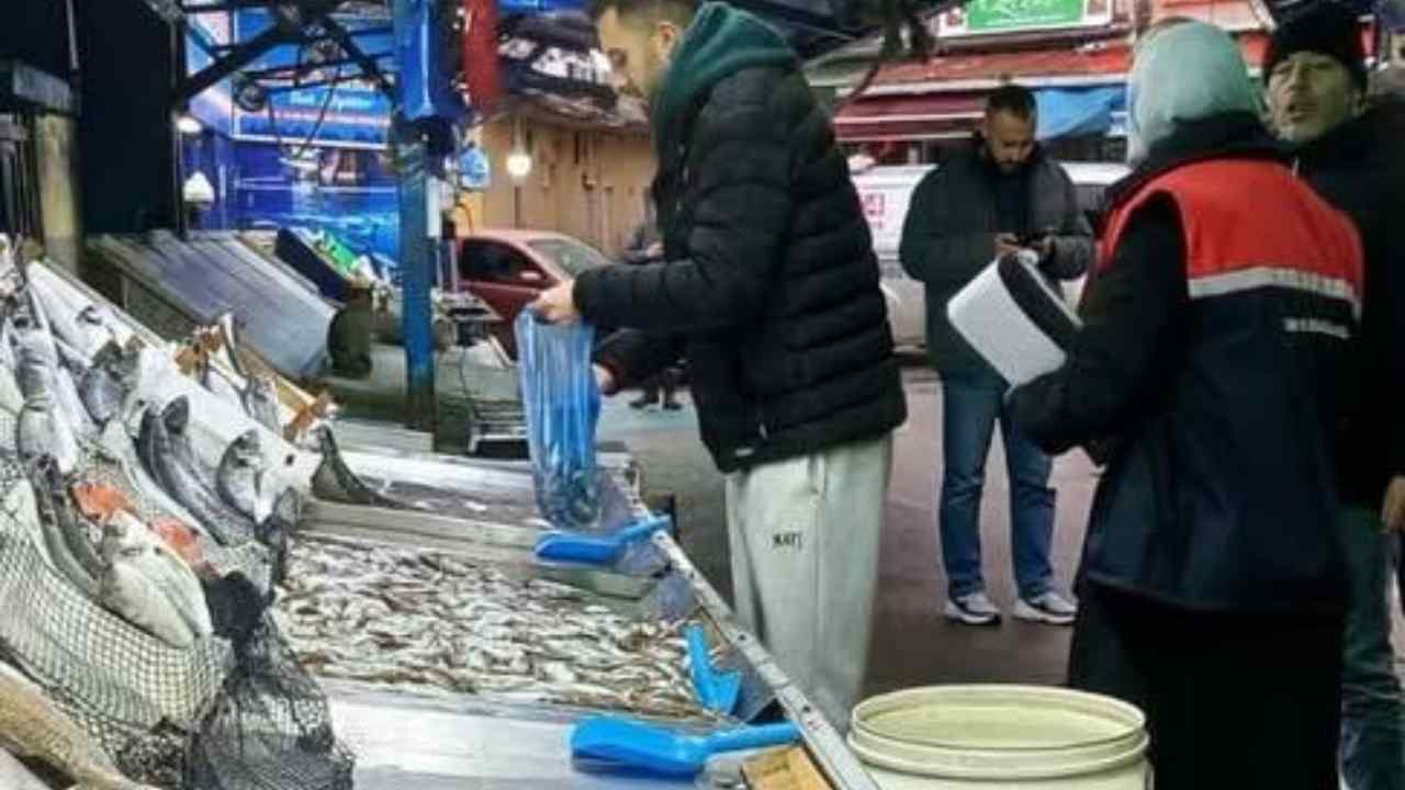 Zonguldak Balıkçılara Ceza Imza Gazetesi