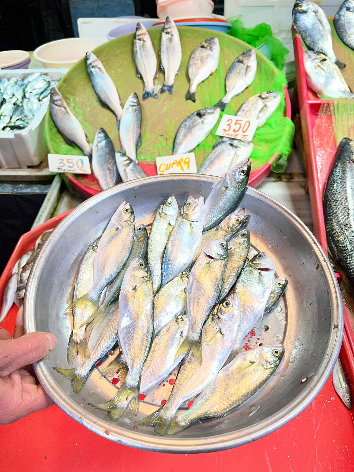 Zonguldak’ta Balık Fiyatları! İmza Gazetesi̇ (6)-1