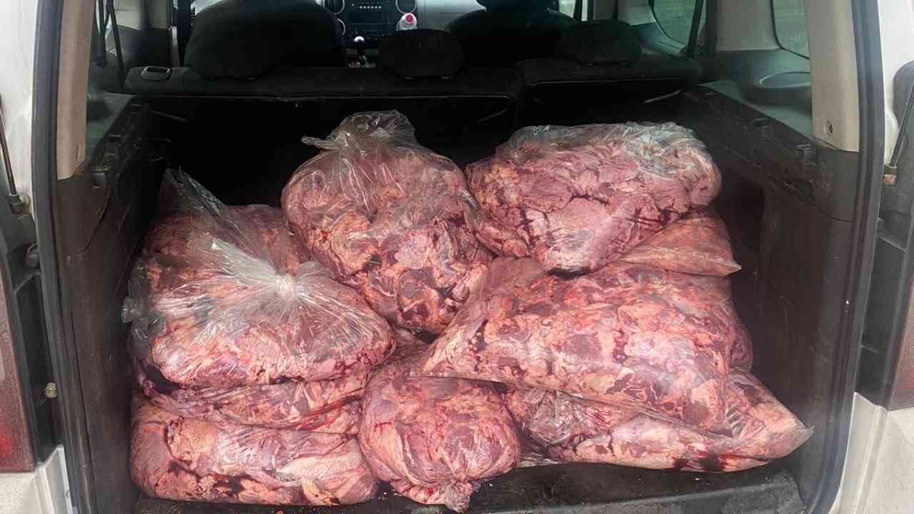 Zonguldak'ta Zehir Tacirlerine Geçit Yok 450 Kilo Et İmha Edildi Imza Gazetesi