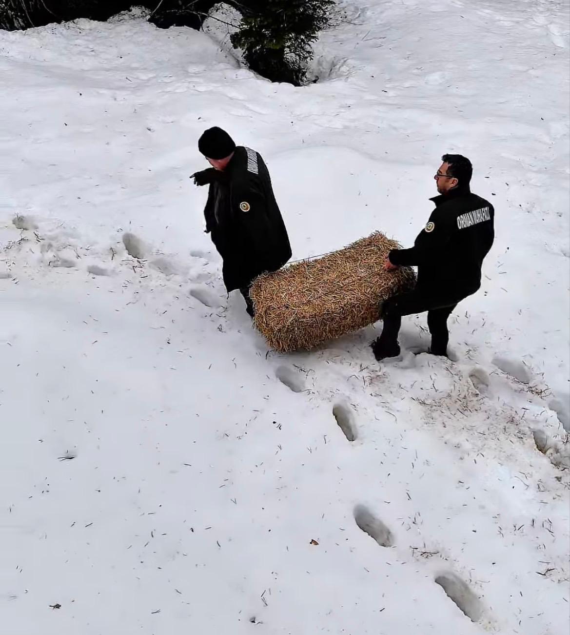 68989913 Fd9B 4E45 B391 6133673D06A2