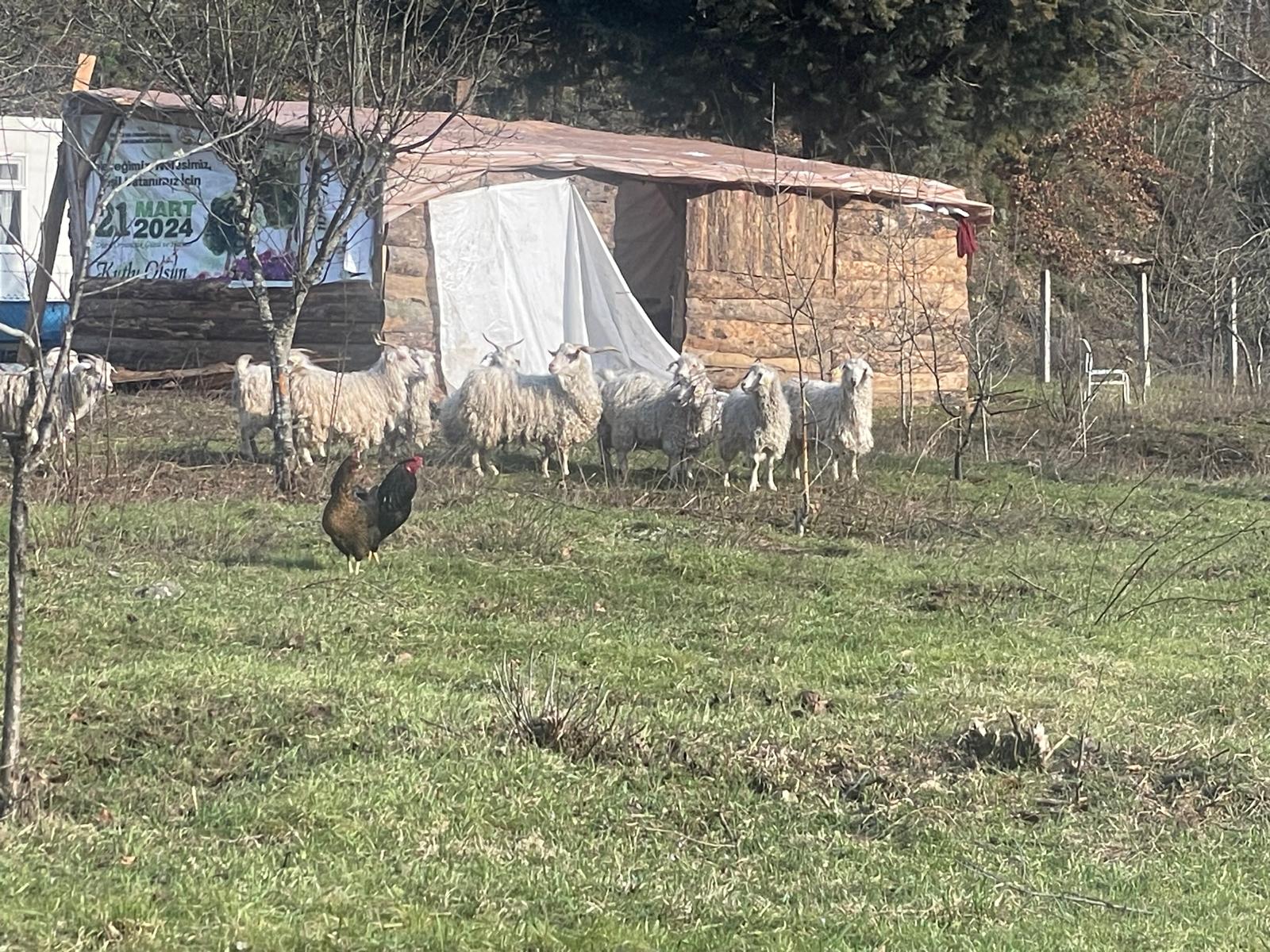 Devrek'te Skandallar Zinciri! İmza Gazetesi̇ (3)-1