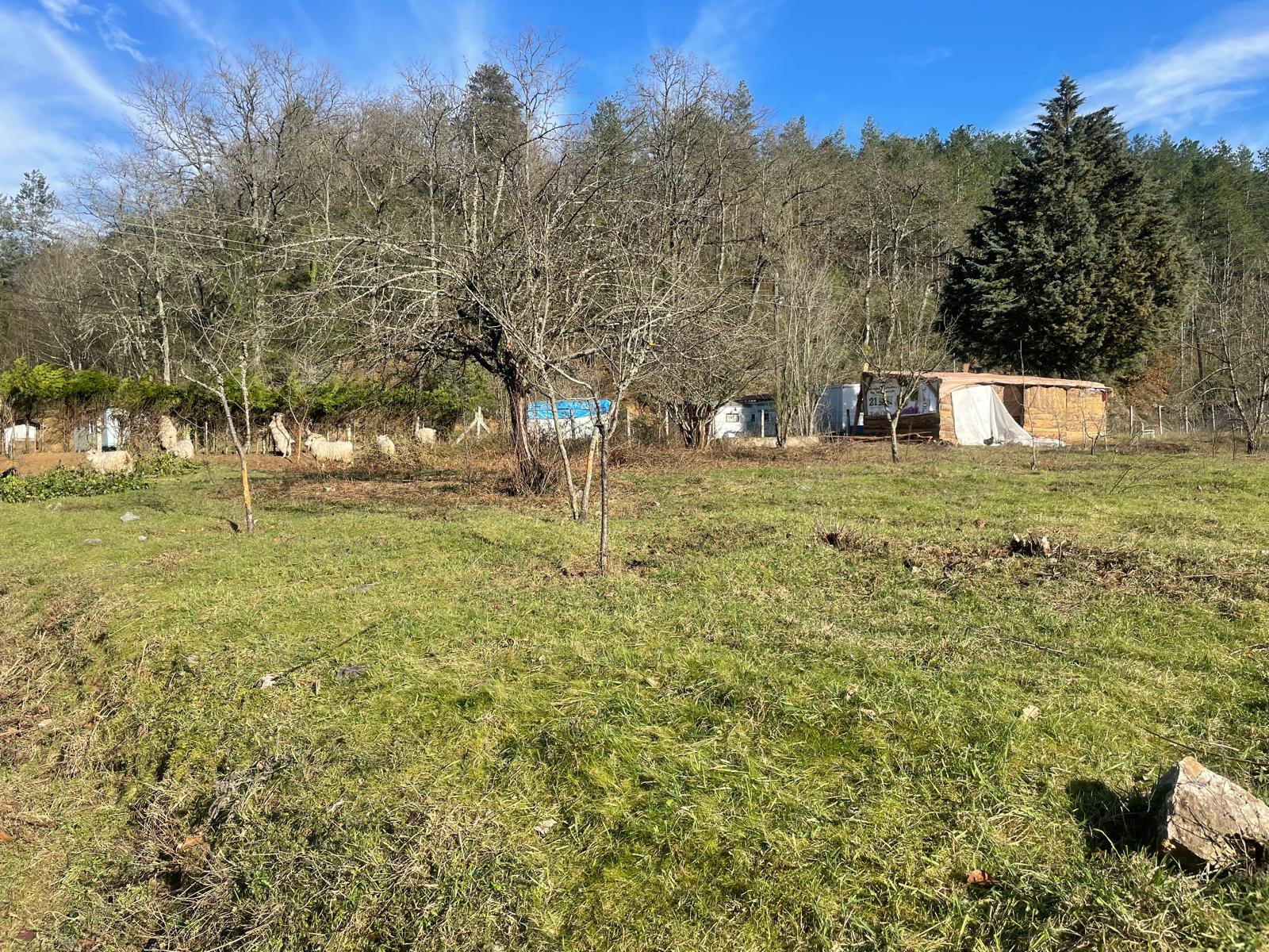 Devrek'te Skandallar Zinciri! İmza Gazetesi̇