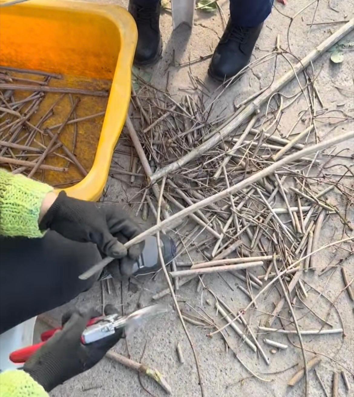 İmza Gazetesi̇ (2)-22