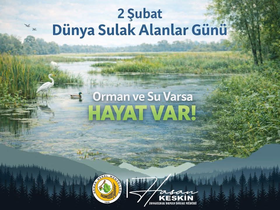 Ormanlar Su Kaynaklarının Teminatıdır Imza Gazetesi