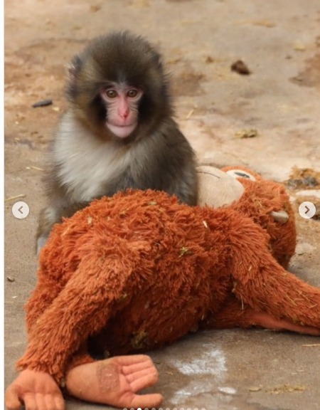 Whatsapp Image 2026 02 16 At 12.40.23