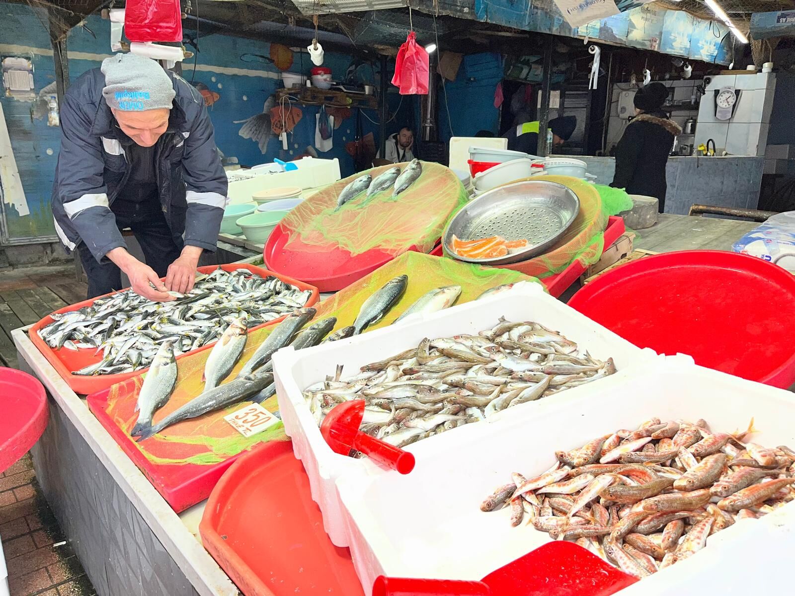 Whatsapp Image 2026 02 26 At 13.39.41