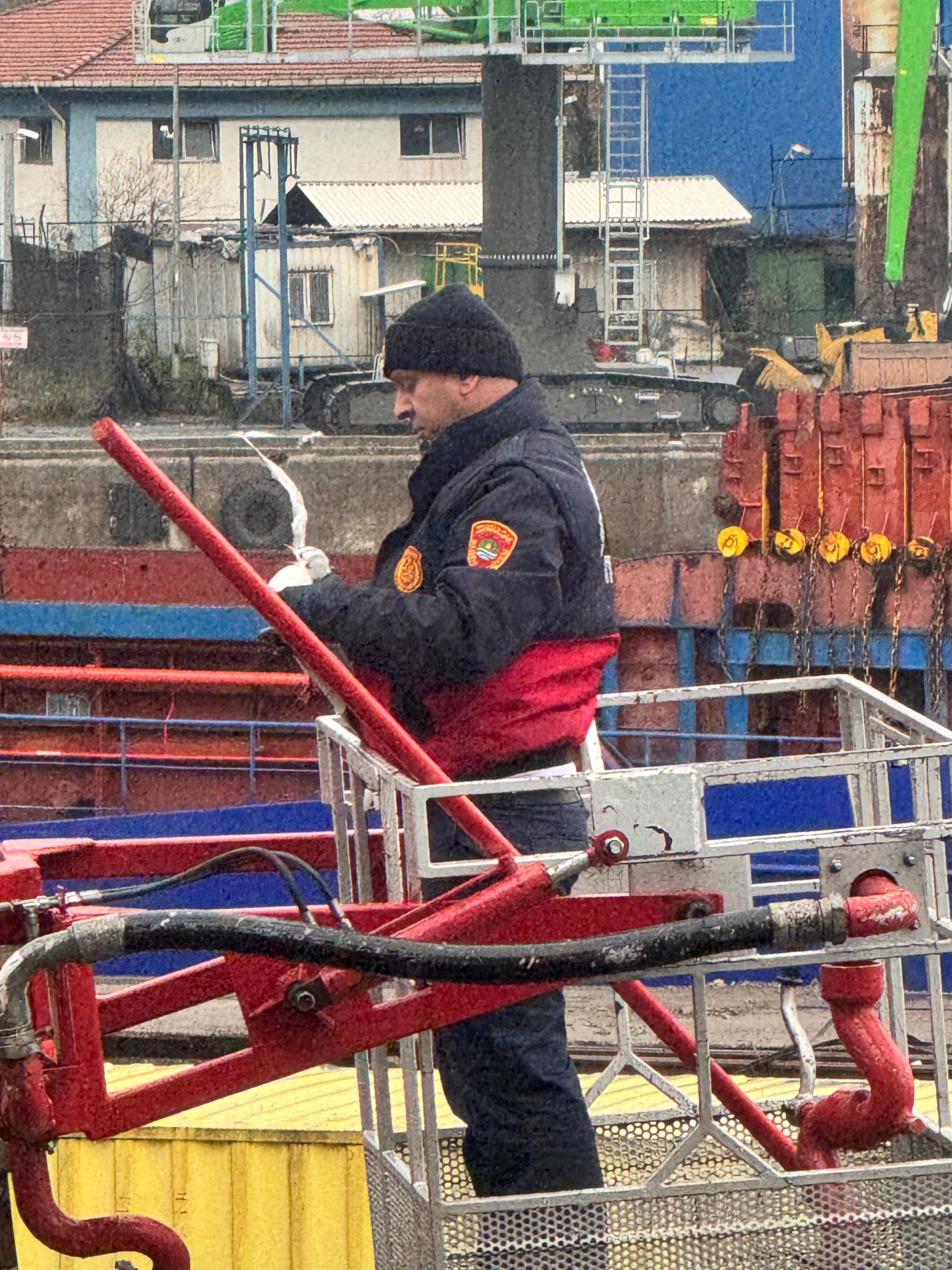 Zonguldak Limanı’nda Tellerde Mahsur Kalan Martı Kurtarıldı! İmza Gazetesi̇ (6)