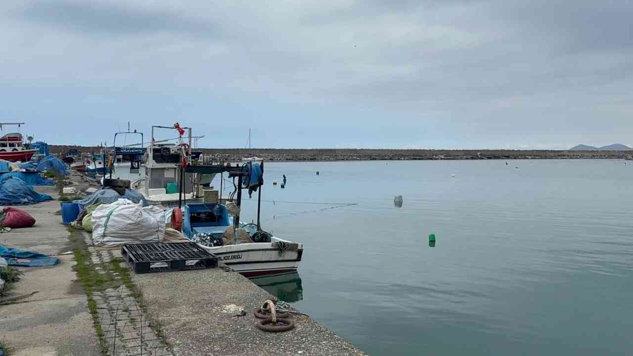 Zonguldaklı Balıkçı Sakarya Ölü Bulundu Neden Öldü Imza Gazetesi