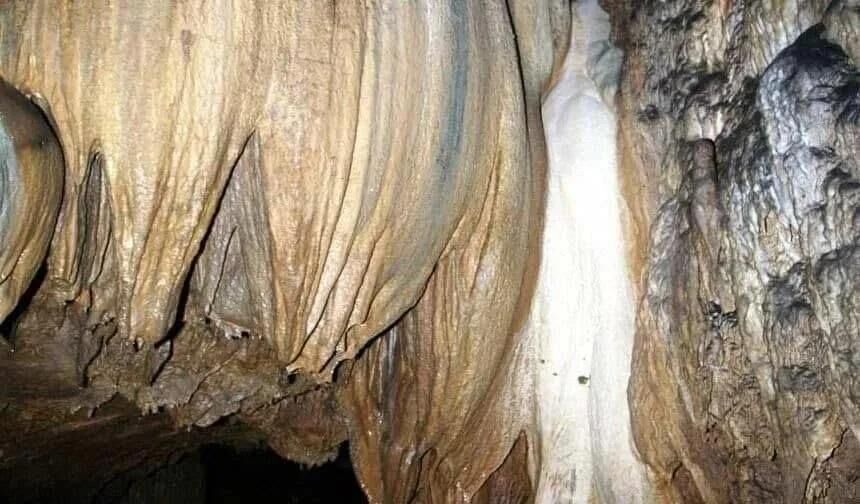 0Ab6F22A 0B3A 44Ff B56B 664A379Dd5B4